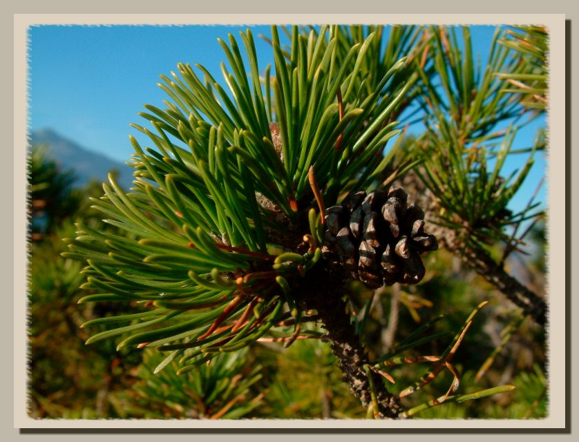DGPV dissesti di versante
